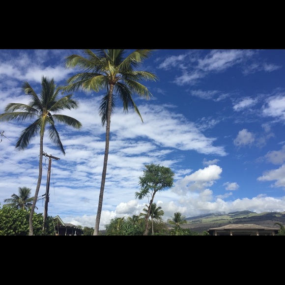 Meet your Posher, Farah - Picture 1 of 1